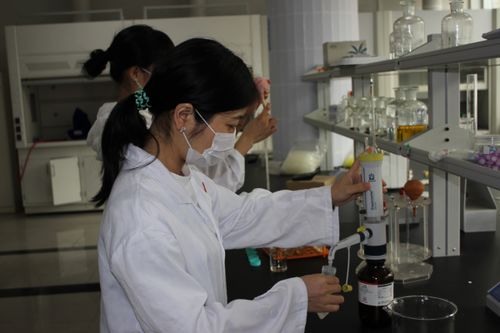 敘州區(qū)舉辦農(nóng)產(chǎn)品安全檢測(cè)技術(shù)培訓(xùn)，筑牢食品安全防線